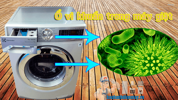 Ổ vi khuẩn trong máy giặt